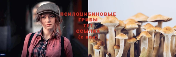 2c-b Вязьма
