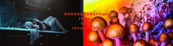 MDMA Вяземский