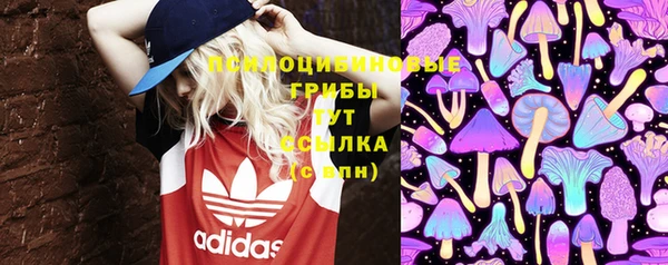 2c-b Вязьма